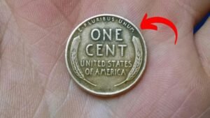 The Lincoln Wheat Penny Valued at $5 Million, Still in Circulation - CHECK HERE!
